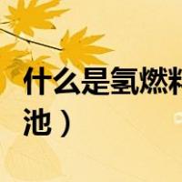 什么是氢燃料电池工作原理（什么是氢燃料电池）