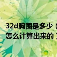 32d胸围是多少（女生胸围尺码中32D中的32是什么意思 是怎么计算出来的）