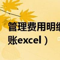 管理费用明细账采用什么格式（管理费用明细账excel）