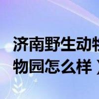 济南野生动物园自驾游最佳攻略（济南野生动物园怎么样）