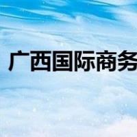 广西国际商务职业技术学院2022录取分数线