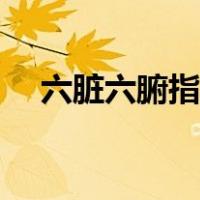六脏六腑指的是什么（六腑指的是什么）