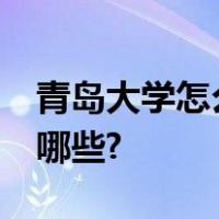 青岛大学怎么样好不好?排名多少优势专业有哪些?