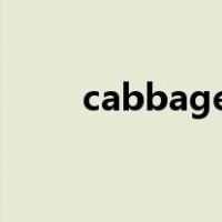cabbages英语怎么读（cabbage）