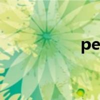 persist in 和insist on