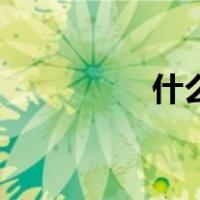什么是ipv6（什么是ip）