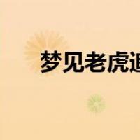 梦见老虎追我是什么预兆（梦见老虎）