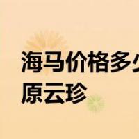 海马价格多少钱一克(1斤)-滋补-养生产品-高原云珍