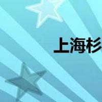 上海杉达学院学费（上海杉达）