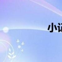小记者和大总裁（小记）
