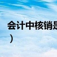 会计中核销是什么意思（会计核销是什么意思）