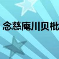 念慈庵川贝枇杷膏是泡水还是直接喝（念慈）