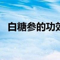白糖参的功效与作用（白糖的功效与作用）