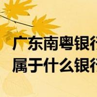 广东南粤银行原来叫什么银行（广东南粤银行属于什么银行）