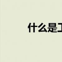 什么是工笔画画（什么是工笔画）