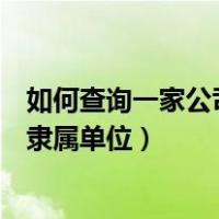 如何查询一家公司性质（如何查询一个企业或公司的性质及隶属单位）
