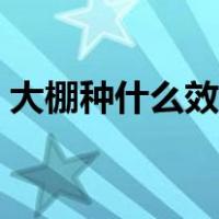 大棚种什么效益最高（大棚种植什么利润高）