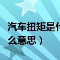 汽车扭矩是什么意思通俗解释（汽车扭矩是什么意思）
