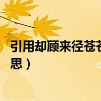 引用却顾来径苍苍横翠微（却顾所来径 苍苍横翠微是什么意思）