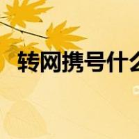 转网携号什么意思（带号转网是什么意思）