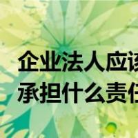 企业法人应该承担什么样的责任（企业法人要承担什么责任）