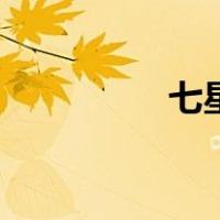 七星袍呼延灼（七星袍）