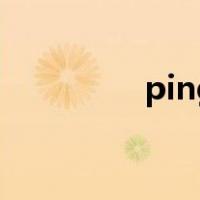 ping网站ip（ping网站）