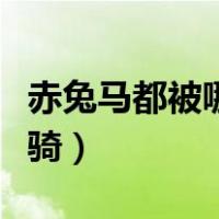赤兔马都被哪些人当做坐骑（赤兔马是谁的坐骑）