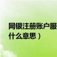 网银注册账户服务费是什么意思?（网银注册账户服务费是什么意思）