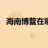 海南博鳌在哪个位置（海南博鳌在哪个市）