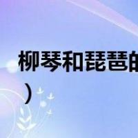 柳琴和琵琶的区别手抄报（柳琴和琵琶的区别）
