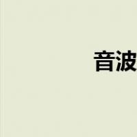 音波果实图鉴（音波果实）