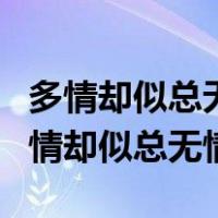 多情却似总无情唯觉樽前笑不成什么意思（多情却似总无情）