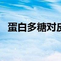 蛋白多糖对皮肤的功效与作用（蛋白多糖）