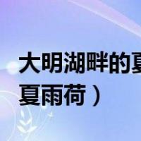 大明湖畔的夏雨荷下一句怎么接（大明湖畔的夏雨荷）