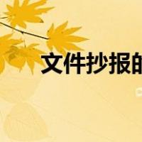 文件抄报的格式（文件抄报抄送格式）