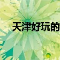 天津好玩的景点大全（天津好玩的景点）