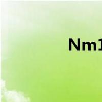 Nm12333劳动和就业记录