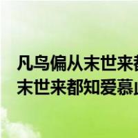 凡鸟偏从末世来都知爱慕此生才描述了哪个人物（凡鸟偏从末世来都知爱慕此生才）
