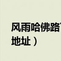 风雨哈佛路下载 下载（风雨哈佛路迅雷下载地址）