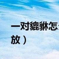一对貔貅怎么摆放图 示范（一对貔貅怎么摆放）