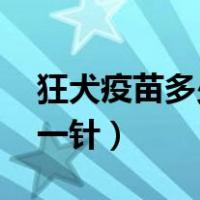 狂犬疫苗多少钱一针 成人（狂犬疫苗多少钱一针）