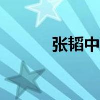 张韬中央电视台主持人（张韬）