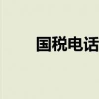 国税电话查询系统（国税电话查询）
