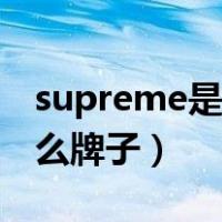 supreme是什么牌子的手表（supreme是什么牌子）