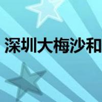 深圳大梅沙和小梅沙哪个好玩（深圳大梅沙）