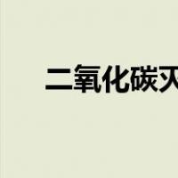 二氧化碳灭火器可以扑灭哪些火灾事故