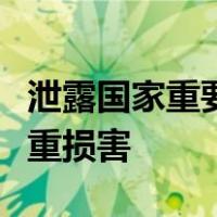 泄露国家重要机密将对国家安全和利益造成严重损害