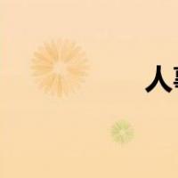 人事行政年度工作总结