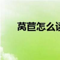 莴苣怎么读拼音怎么写（莴苣怎么读）